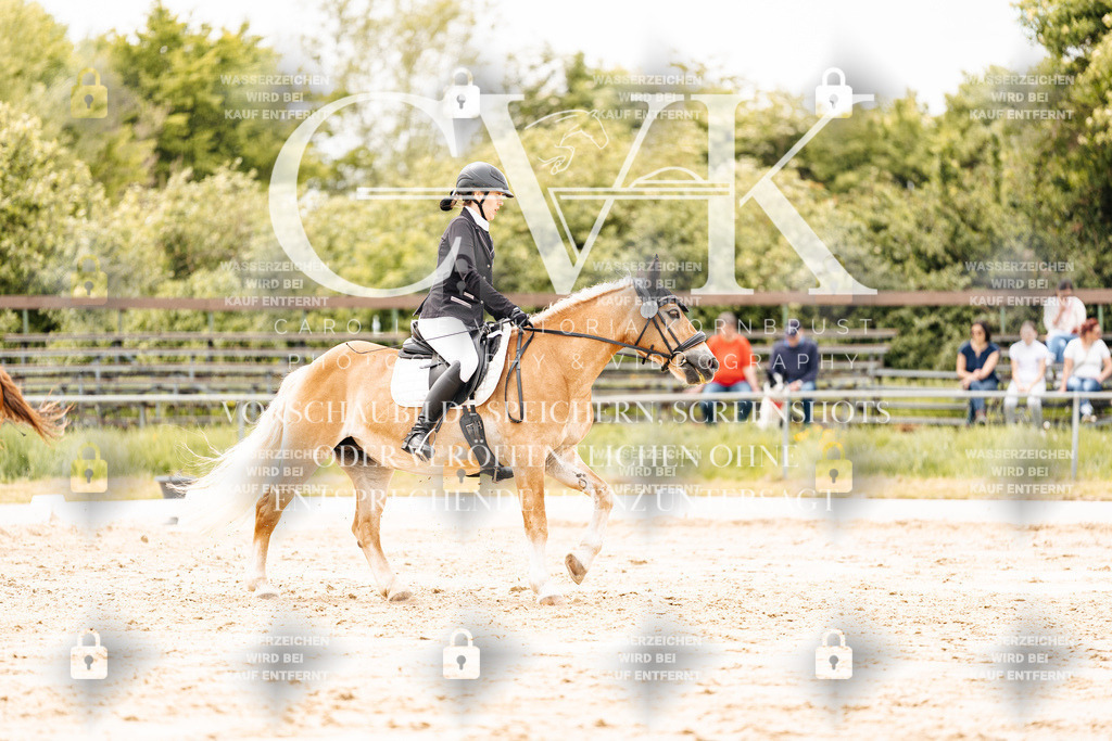 CK902968 | Turnierfotografie Pferdefotografie Trier Rheinland-Pfalz Pferdesport Reitsport Tierfotografie Sportfotografie Pferdevideo Pferdevideografie Equestrianvideography equestrianphotography  - Realisiert mit Pictrs.com
