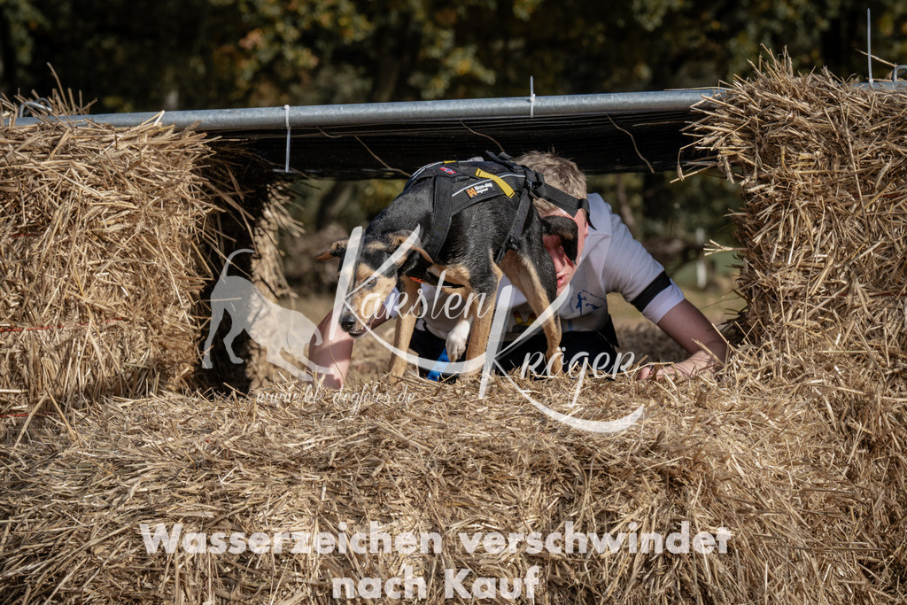 1213_ZZ93669 | kk-dogfotos