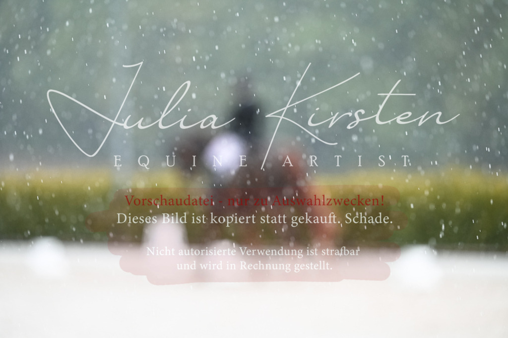 DSC_4113 | Pferde- und Turnierfotografie in Westsachsen. Pferdeportraits, Auftragszeichnungen und intuitive Kunst.