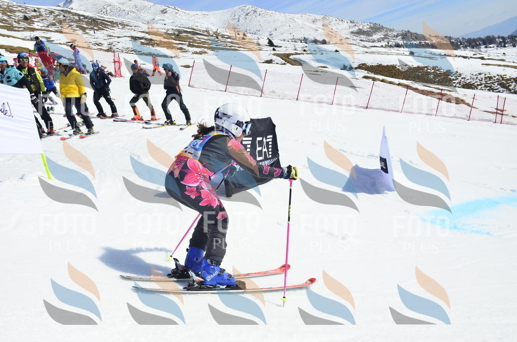 _ELE1107 | holidayphoto