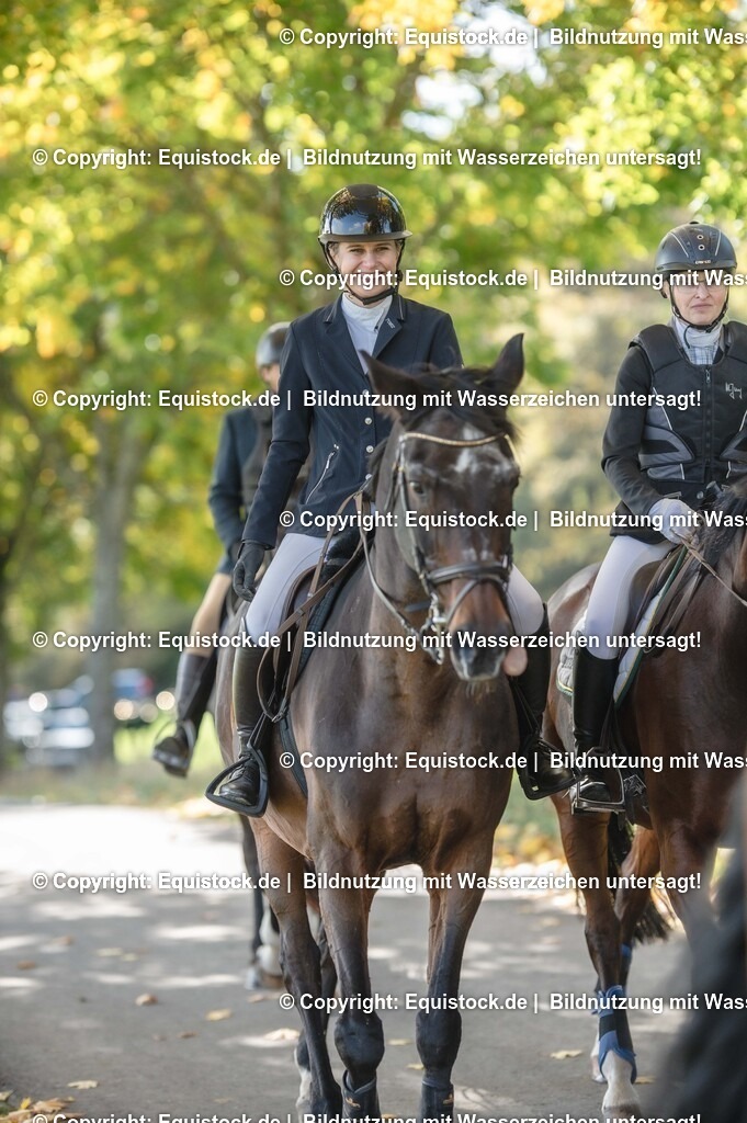 20251011_Jagd-Marbach_0317 | Foto: Thomas Hartig