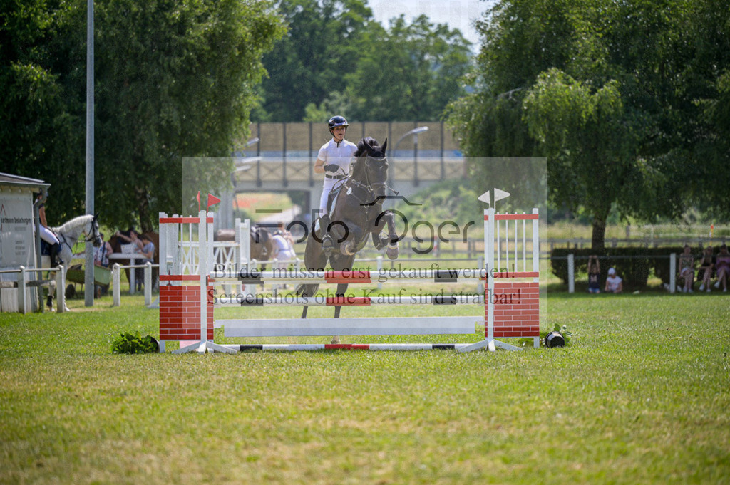 Reitturnier Voxtrup | Entdecke hochwertige Reitturnierfotos von Foto Oger. Professionell, emotional und authentisch – jetzt Lieblingsmomente im Shop bestellen.Deutschlandweite Turnierfotografie. - Realisiert mit Pictrs.com
