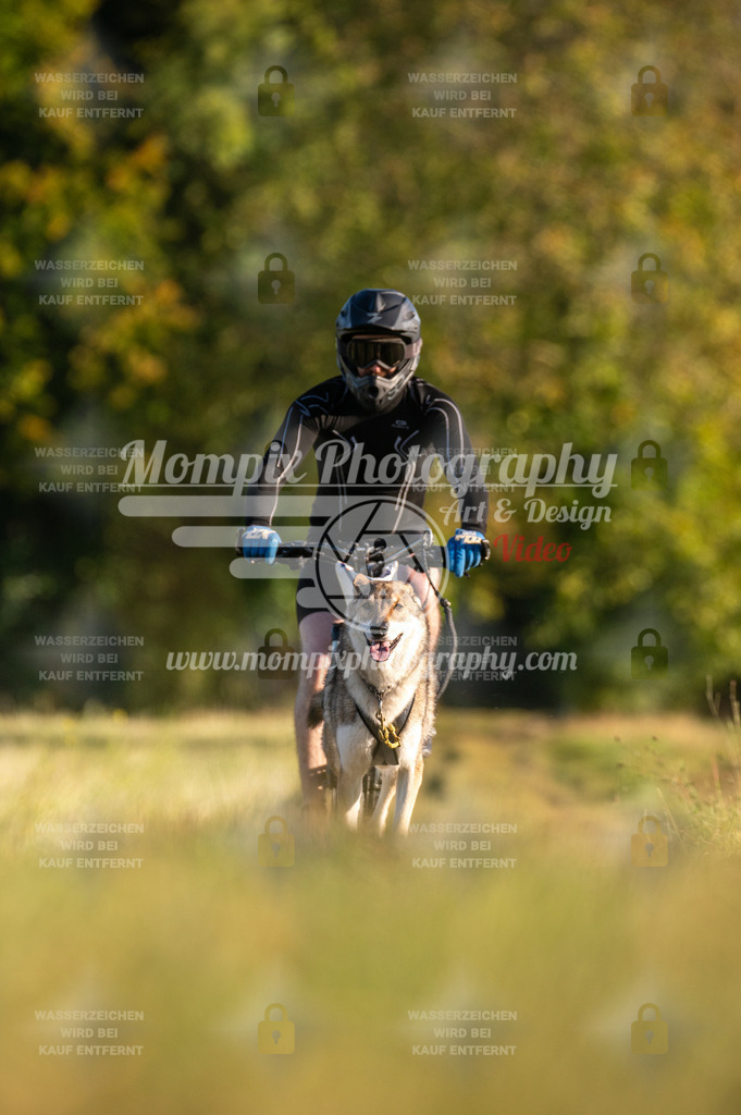 CDLBDB_15_10_2023_Dimanche-140 | PayLife