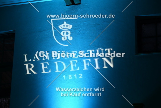 974_4044 | Björn Schroeder Pferdefotografie