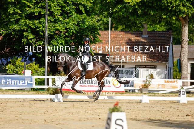 _62_2349 | larahueckfotografie