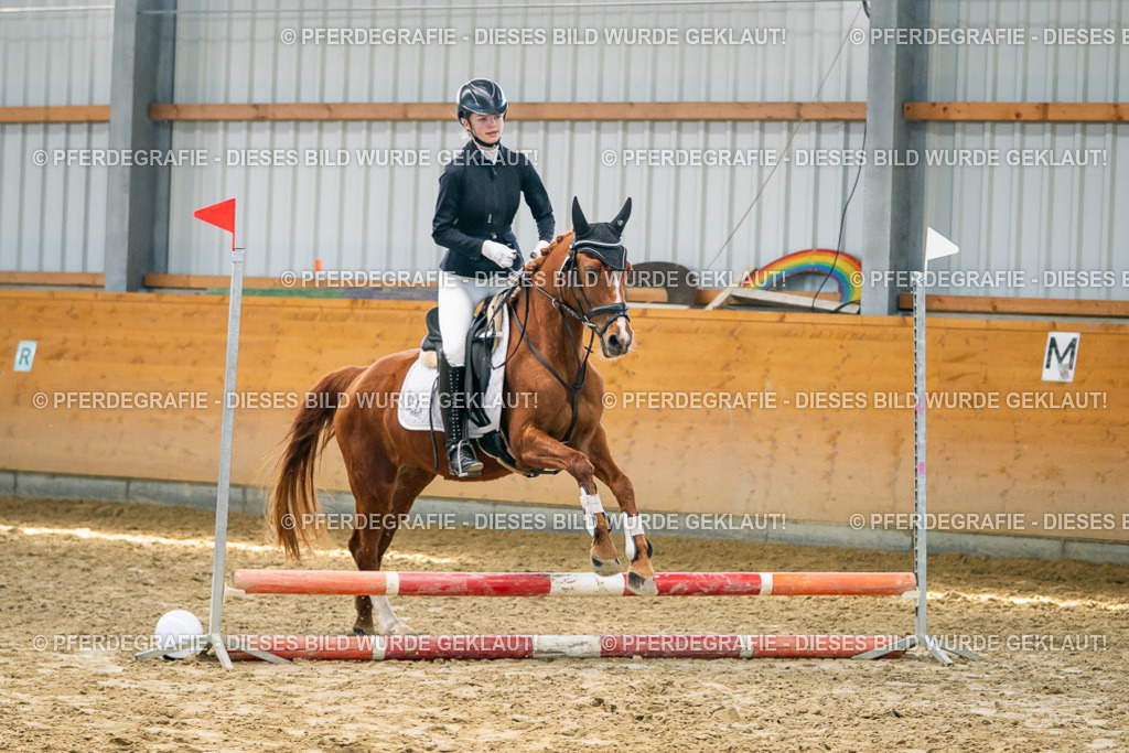 DSC01476 | Pferdegrafie