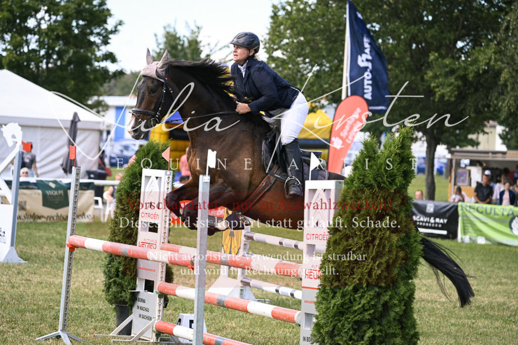 DSC_0556 | Pferde- und Turnierfotografie in Westsachsen. Pferdeportraits, Auftragszeichnungen und intuitive Kunst.