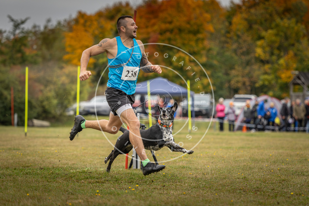 Pfotenfotografie_DV3A5347 | Hundefotografie, Tierfotograf, Pfotenfotografie, Fotoshooting Hund, Hunde Portrait, Hundesport, Hundeportraits, Heideshooting, Hunde, Sportfotograf, Hundefotograf, Turnierhundsport, THS,  - Realisiert mit Pictrs.com