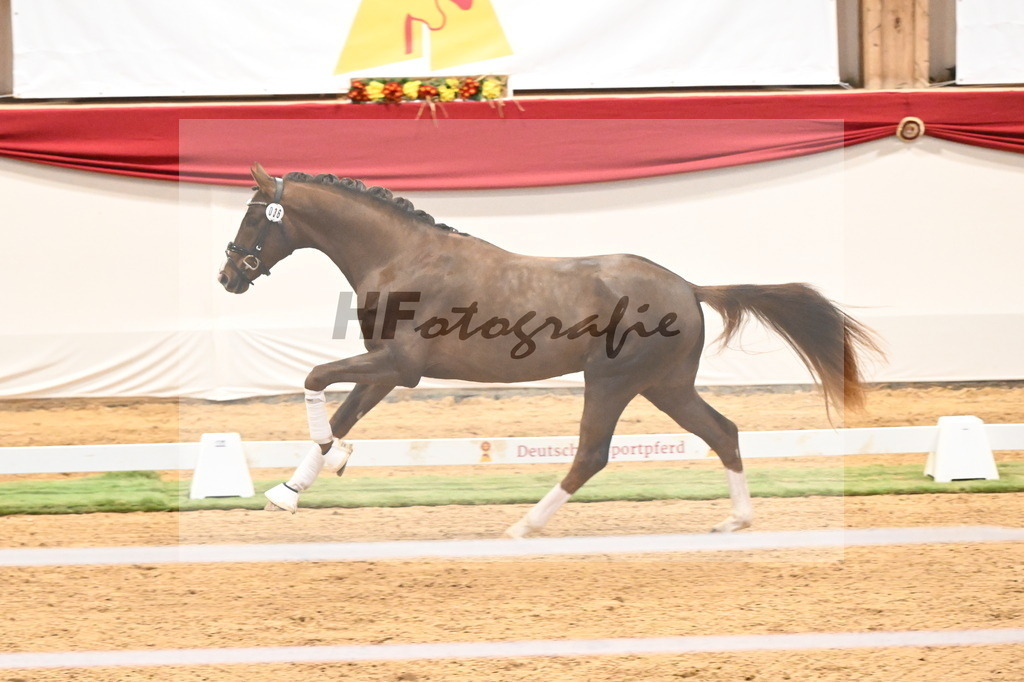 Kat.-Nr. 36 v. Benicio_Galneder_3260219 | hf-fotografie - Realisiert mit Pictrs.com