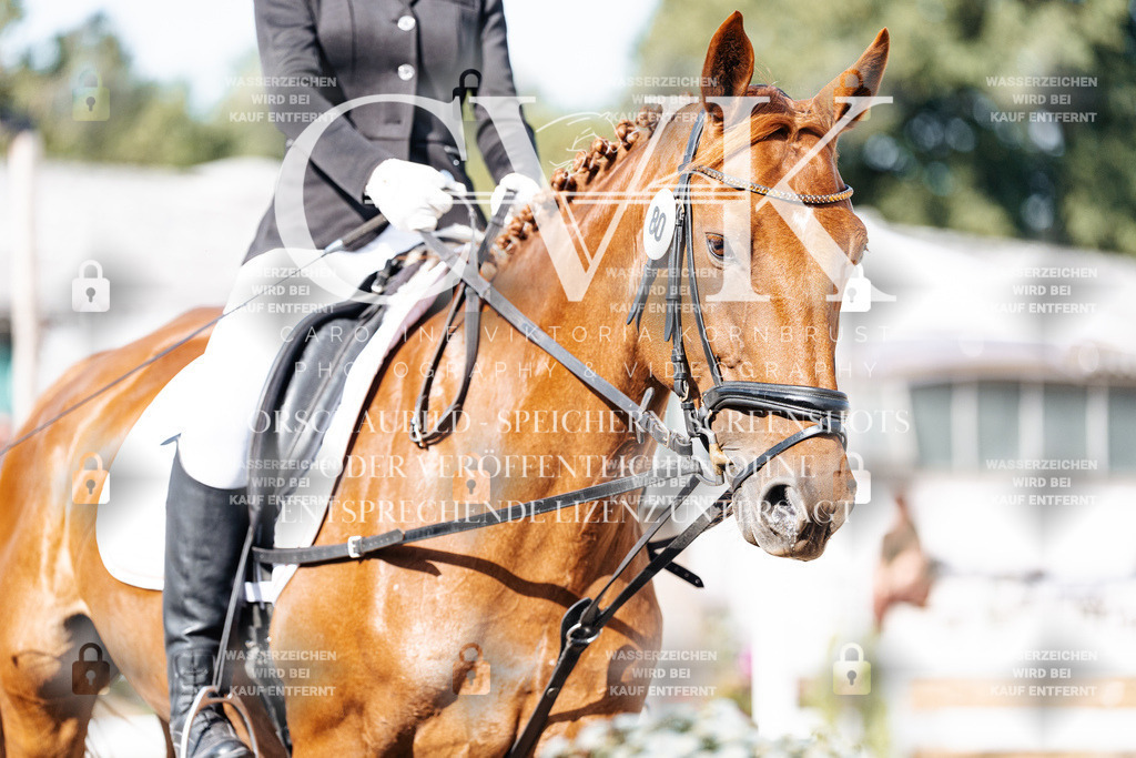 CK905534 | Turnierfotografie Pferdefotografie Trier Rheinland-Pfalz Pferdesport Reitsport Tierfotografie Sportfotografie Pferdevideo Pferdevideografie Equestrianvideography equestrianphotography  - Realisiert mit Pictrs.com