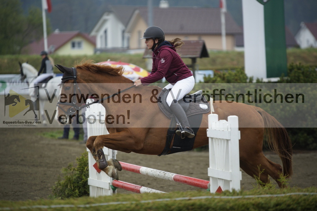 _DSC3778 | equestrian-live-com