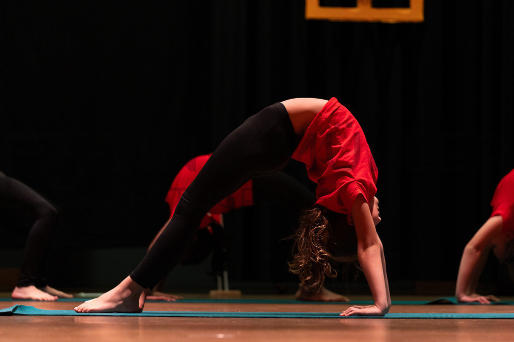 DSC08765 | Tinu Müller Fotografie- Bildershop - Realisiert mit Pictrs.com