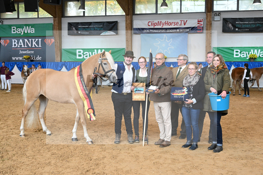 Kat-Nr. 278 Daria_Obermaier_54224155 | hf-fotografie - Realisiert mit Pictrs.com