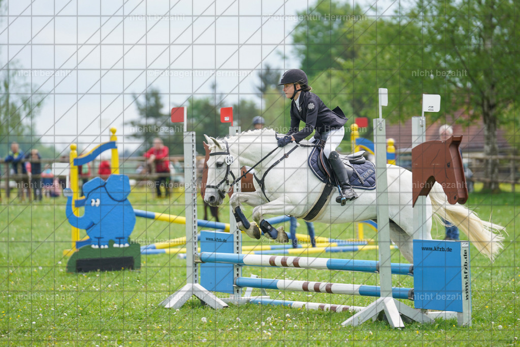 20240509-FAH02484 | Turnierbilder der Turnierfotografen Bayern, Pferdesport Fotografie, Reitsportbilder, Turnier Landberg am Lech, Turnierbilder bayern, Fotoagentur Herrmann