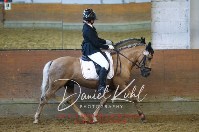 DKP44196 | Turniersportfotografie; Pferdefotografie; Dressurfotografie