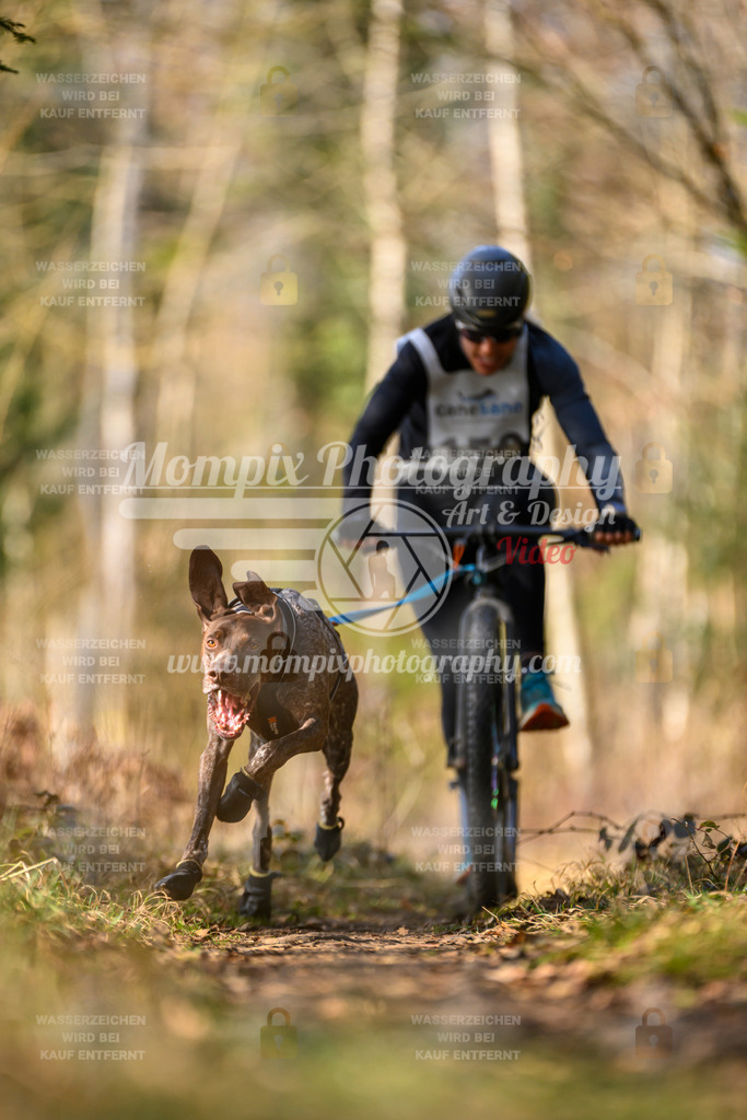 MompixPhotography_6ReiatRennen2026_SO_Scooter-12 | PayLife