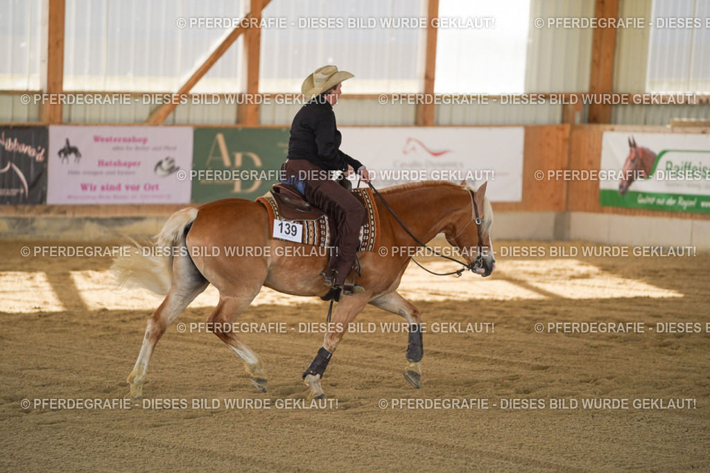 DSC00935 | Pferdegrafie