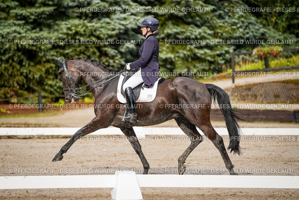 DSC09875 | Pferdegrafie