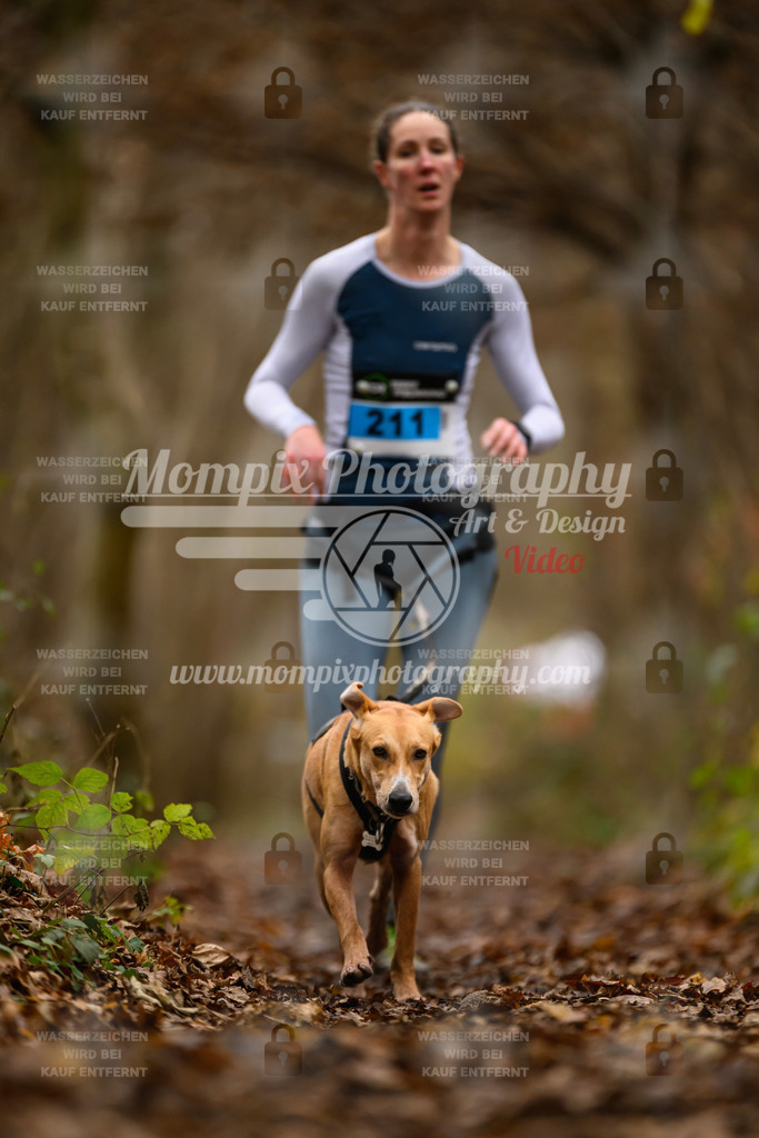 MompixPhotography_Eschau2024_CCC-49 | PayLife