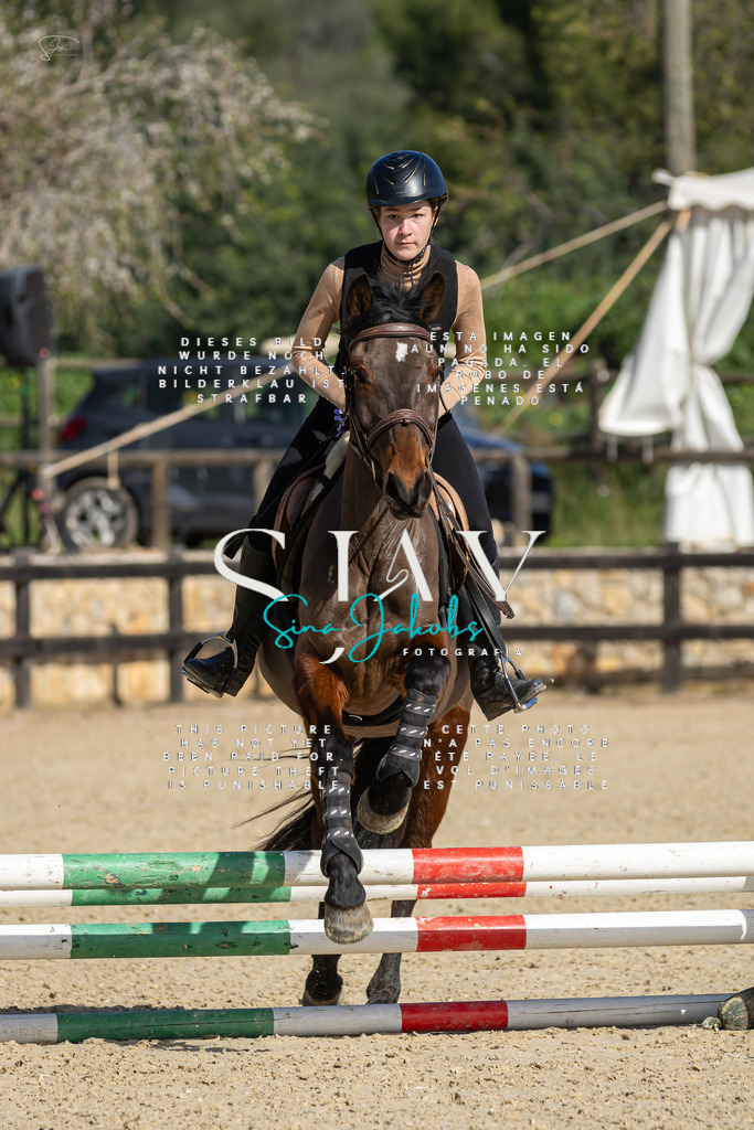 IMG_6046 | s-jay-photography - Realisiert mit Pictrs.com