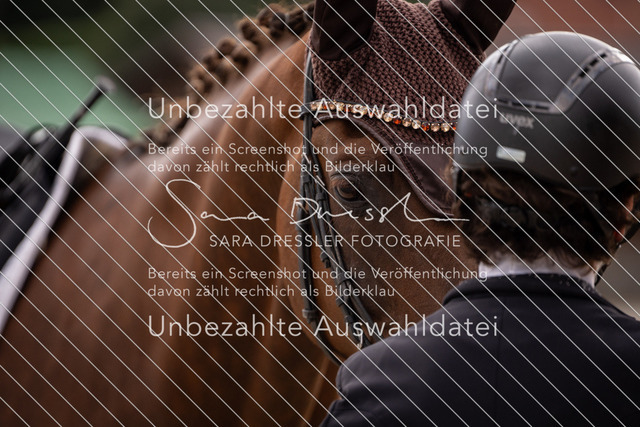 SD_OED_07294 | saradresslerfotografie - Realisiert mit Pictrs.com