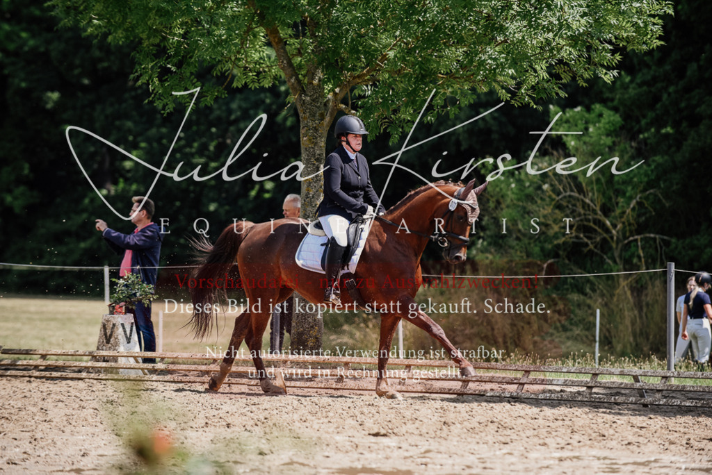 DSC_1332 | Pferde- und Turnierfotografie in Westsachsen. Pferdeportraits, Auftragszeichnungen und intuitive Kunst.