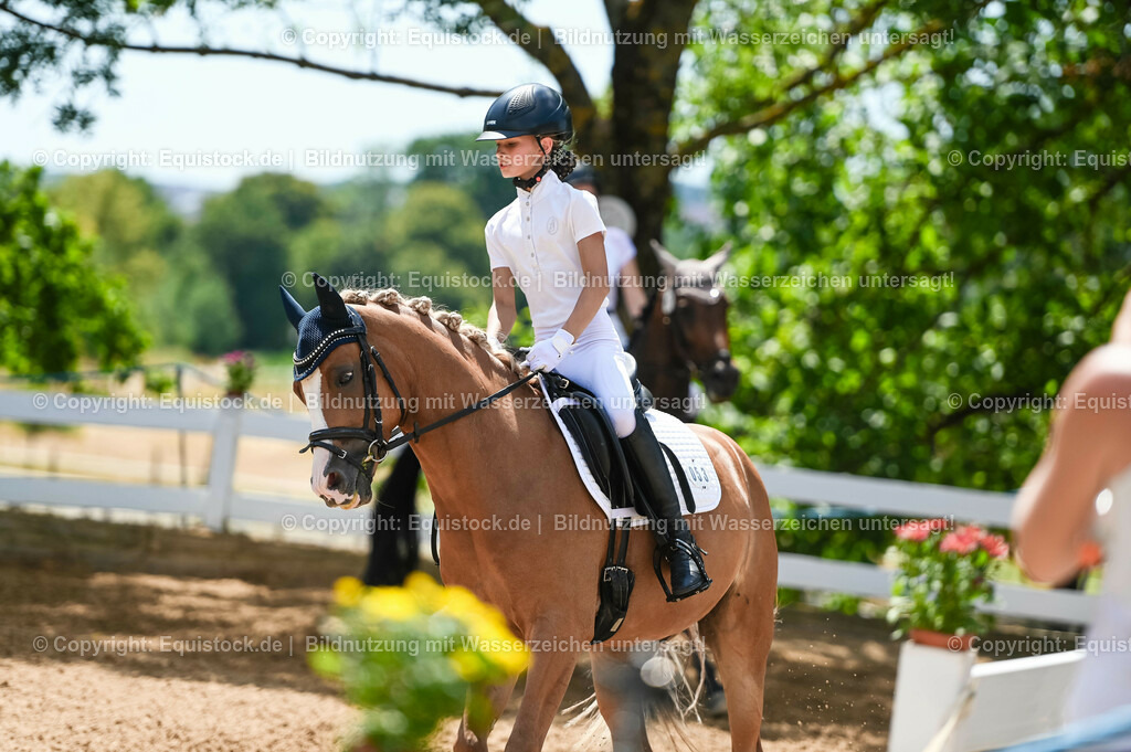 20230715_09_Dressur-WB_0266 | equistock
