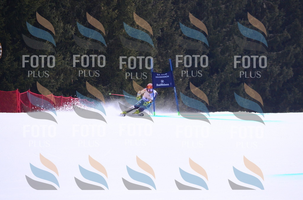 C9613 | holidayphoto