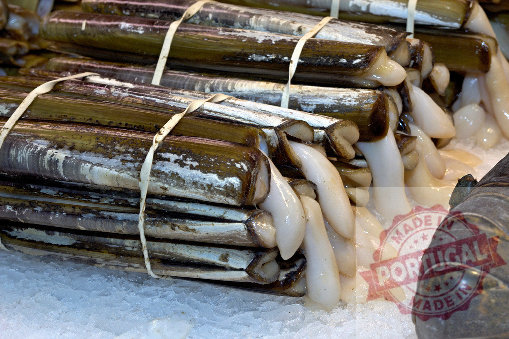 Fresh razor clams bundles selling on ice at fish market | Razor clams stacked on crushed ice, ready for customers in a seafood market - Realized with Pictrs.com
