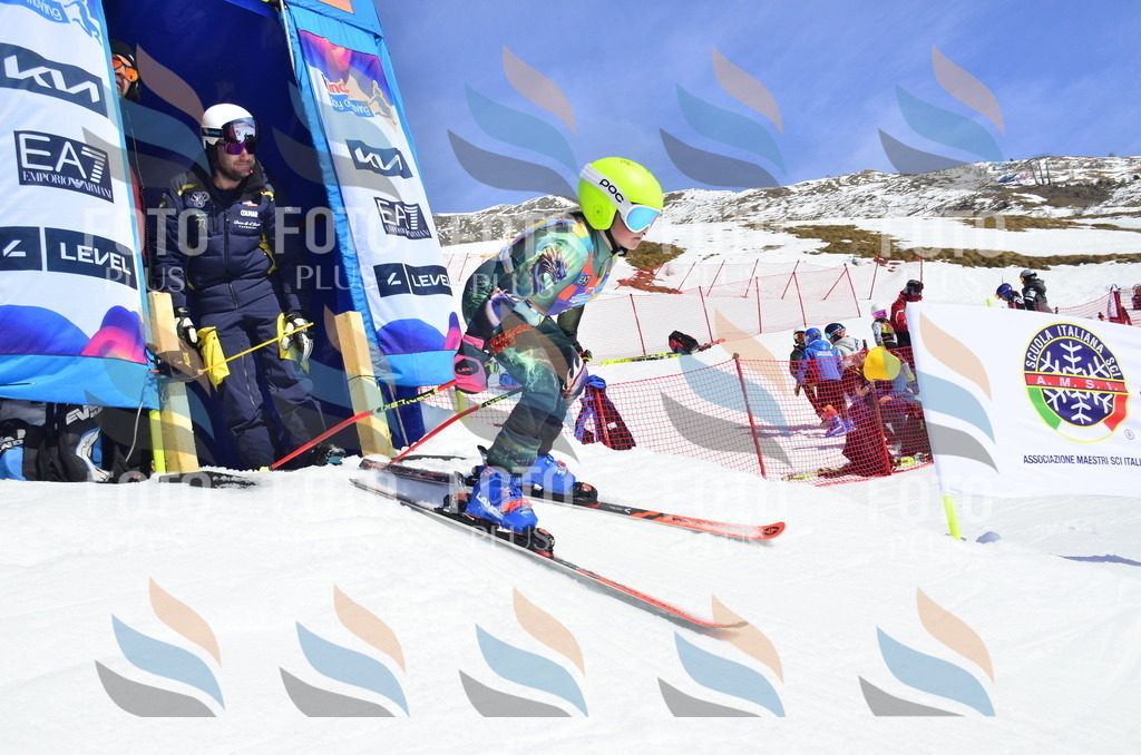 _ELE0830 | holidayphoto