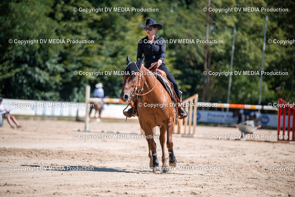 ZS1_1040 | dv-media-shop - Realisiert mit Pictrs.com