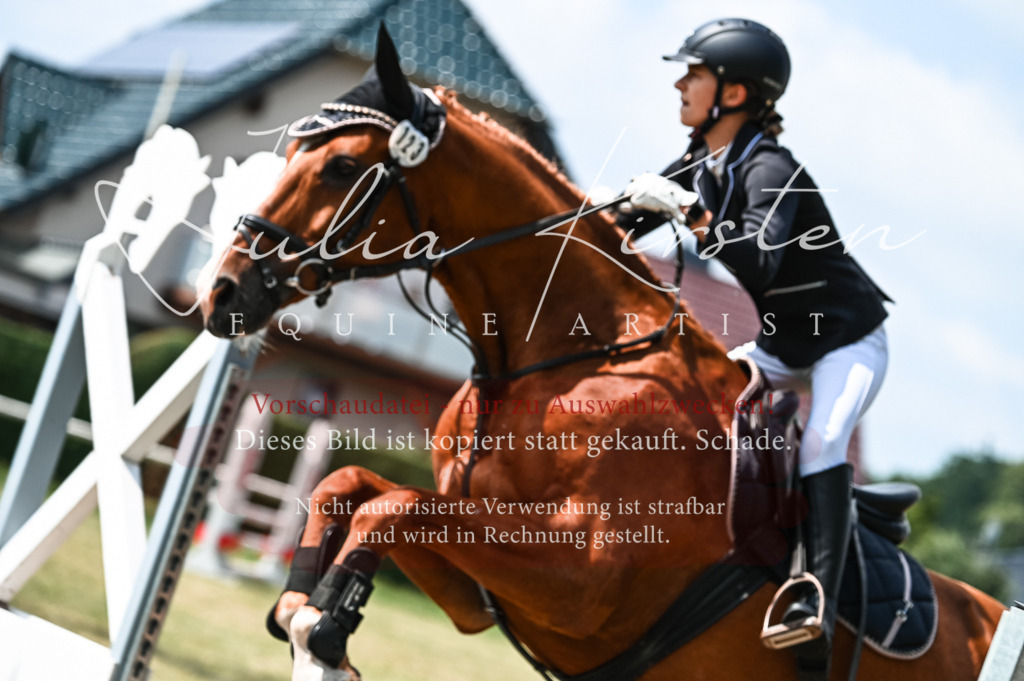 DSC_9186 | Pferde- und Turnierfotografie in Westsachsen. Pferdeportraits, Auftragszeichnungen und intuitive Kunst.