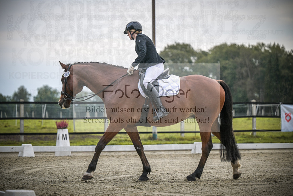 DOS_1962 | Entdecke hochwertige Reitturnierfotos von Foto Oger. Professionell, emotional und authentisch – jetzt Lieblingsmomente im Shop bestellen.Deutschlandweite Turnierfotografie. - Realisiert mit Pictrs.com