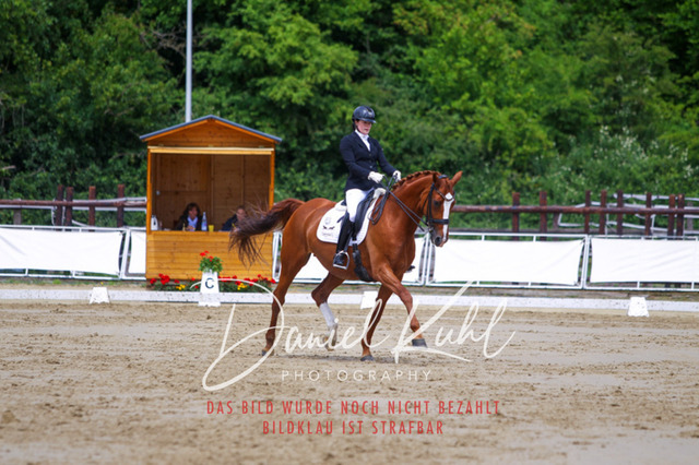 DKP47536 | Turniersportfotografie; Pferdefotografie; Dressurfotografie