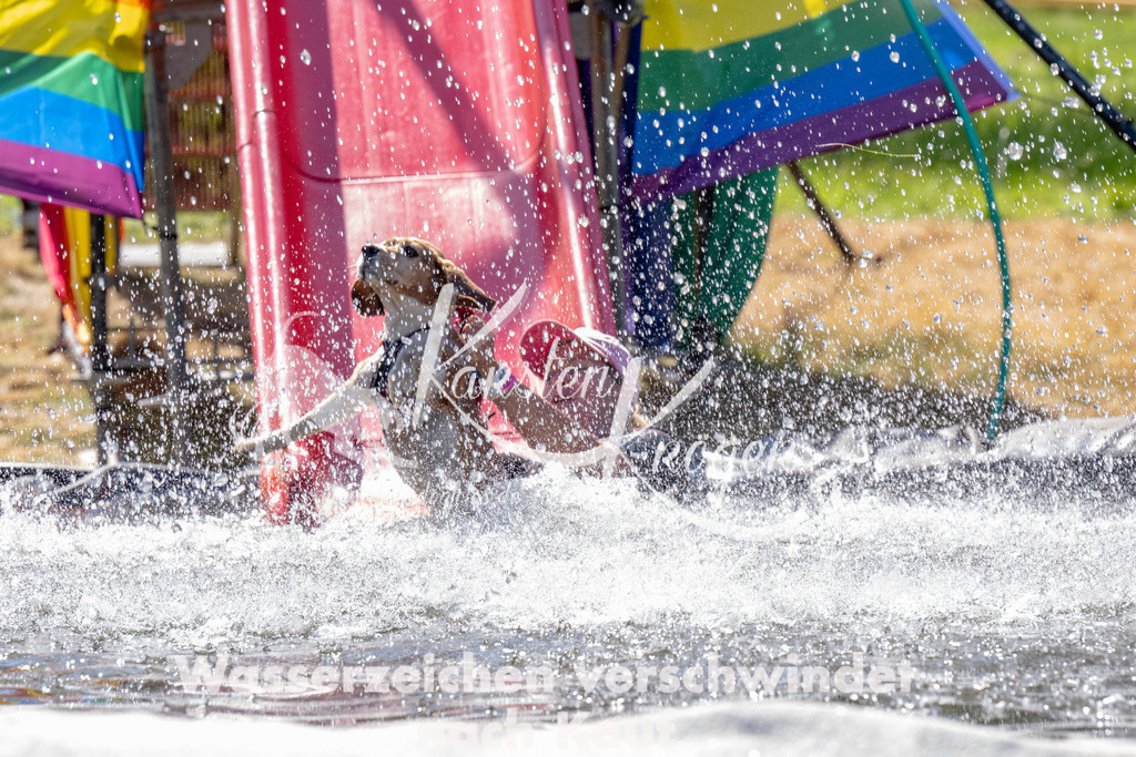 1243_ZZ93308 | kk-dogfotos