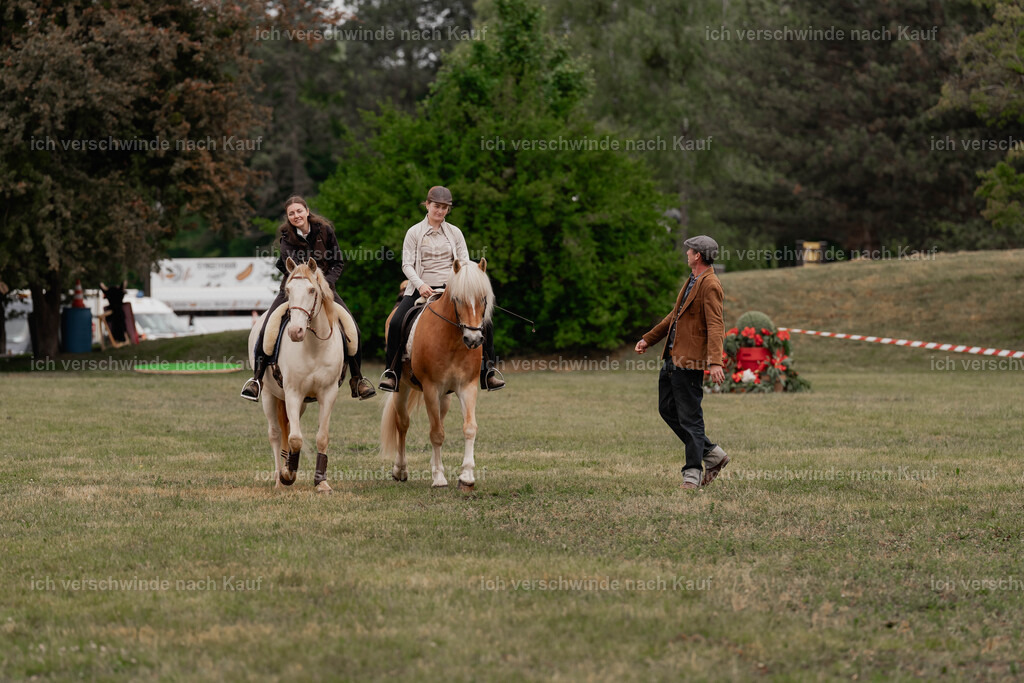 Showprogramm-42 | working equitationturnier fotograf videograf stoibphotography marixx film working equitation deutschland reitsport turnierfotografie eventfotografie equestrian events