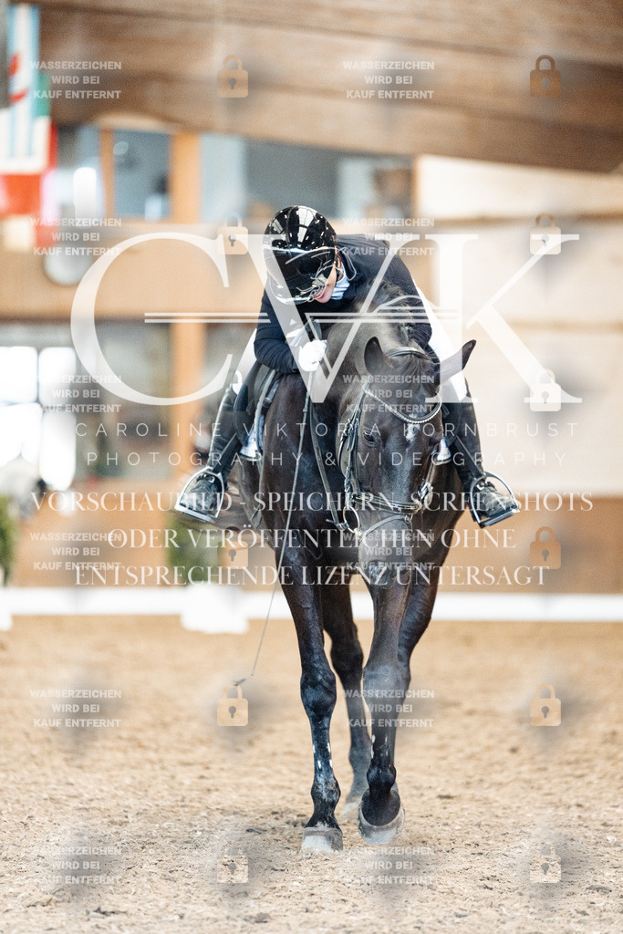 CK909553 | Turnierfotografie Pferdefotografie Trier Rheinland-Pfalz Pferdesport Reitsport Tierfotografie Sportfotografie Pferdevideo Pferdevideografie Equestrianvideography equestrianphotography  - Realisiert mit Pictrs.com