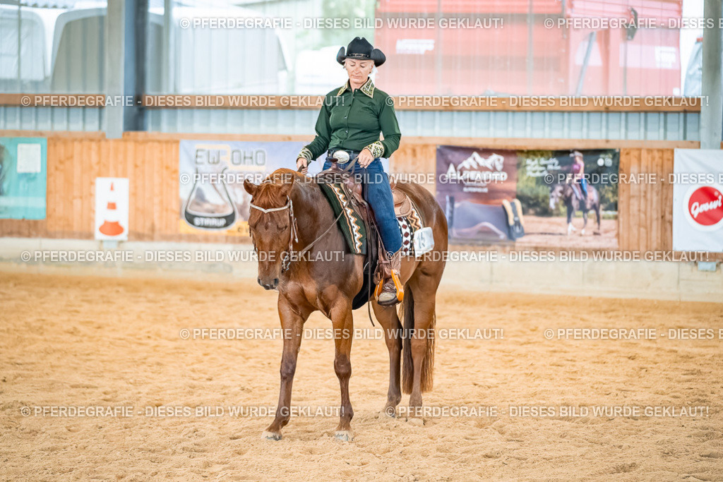 DSC00625 | Pferdegrafie