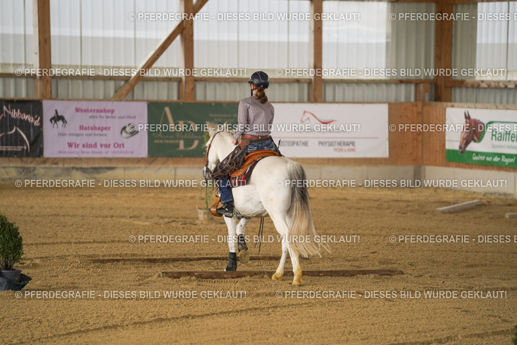 DSC05401 | Pferdegrafie