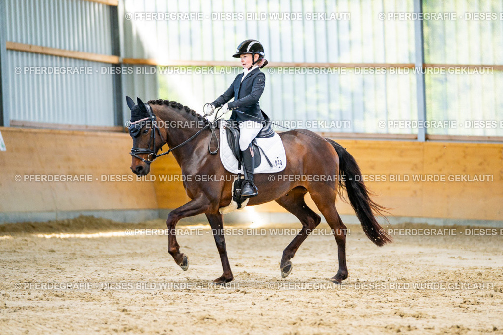 DSC06328 | Pferdegrafie