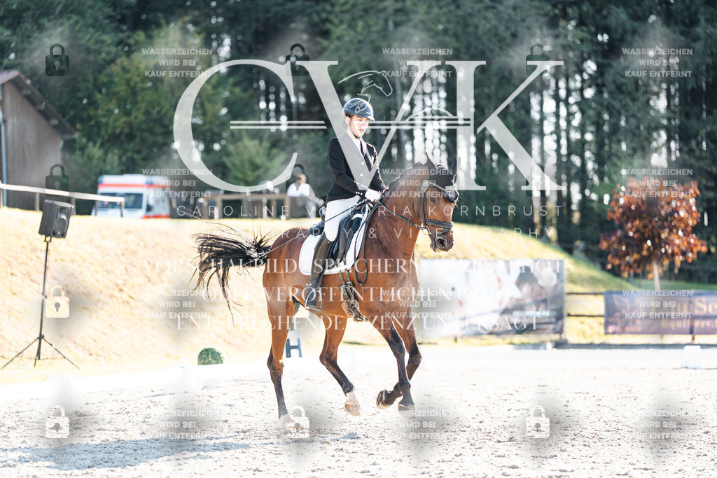 CK906793 | Turnierfotografie Pferdefotografie Trier Rheinland-Pfalz Pferdesport Reitsport Tierfotografie Sportfotografie Pferdevideo Pferdevideografie Equestrianvideography equestrianphotography  - Realisiert mit Pictrs.com
