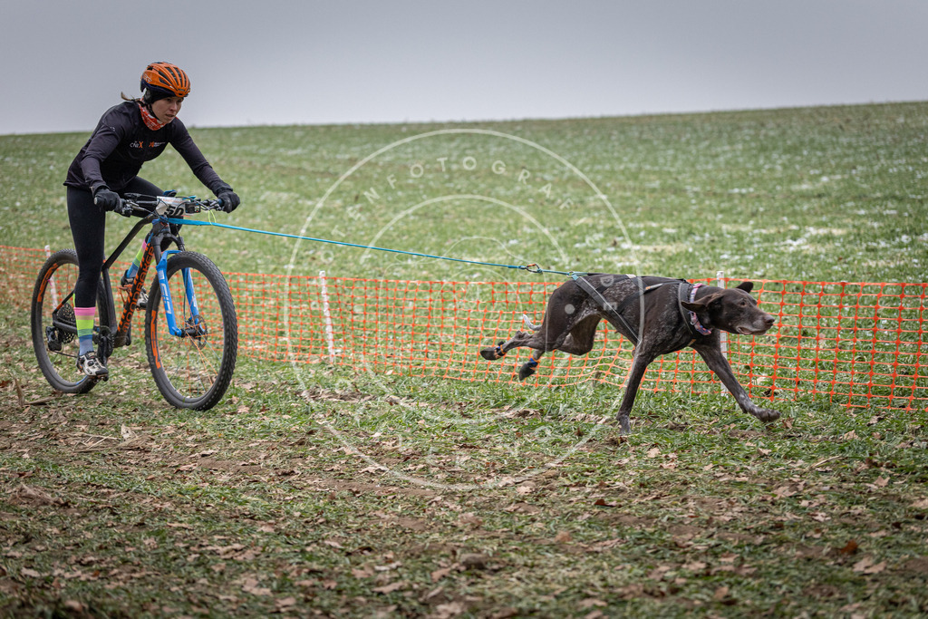 Pfotenfotografie_DV3A1053 | Hundefotografie, Tierfotograf, Pfotenfotografie, Fotoshooting Hund, Hunde Portrait, Hundesport, Hundeportraits, Heideshooting, Hunde, Sportfotograf, Hundefotograf, Turnierhundsport, THS,  - Realisiert mit Pictrs.com