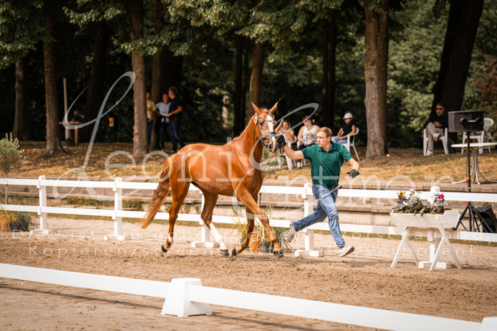 5.Fr00098 | Leoni Ertmer Photography - Realisiert mit Pictrs.com