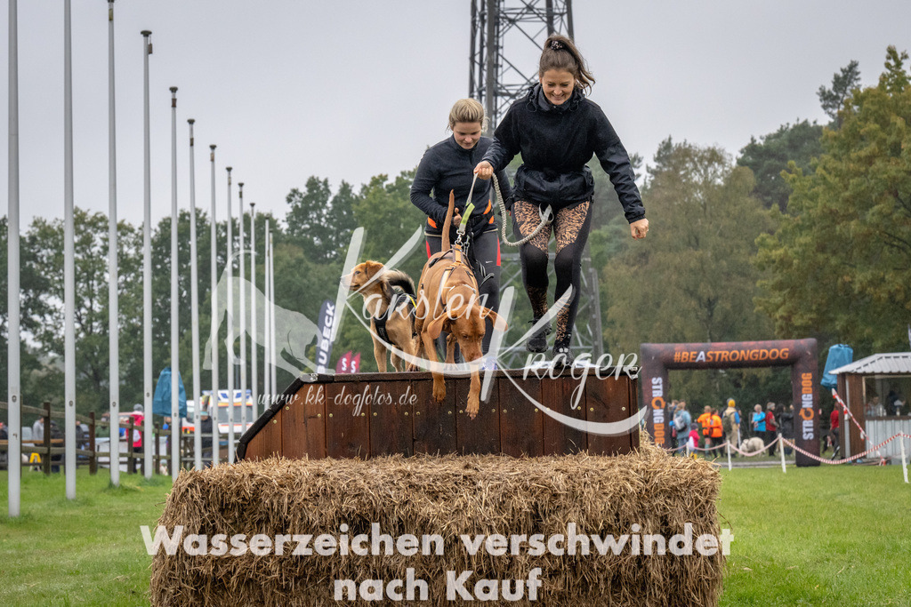 1225-92006 | kk-dogfotos