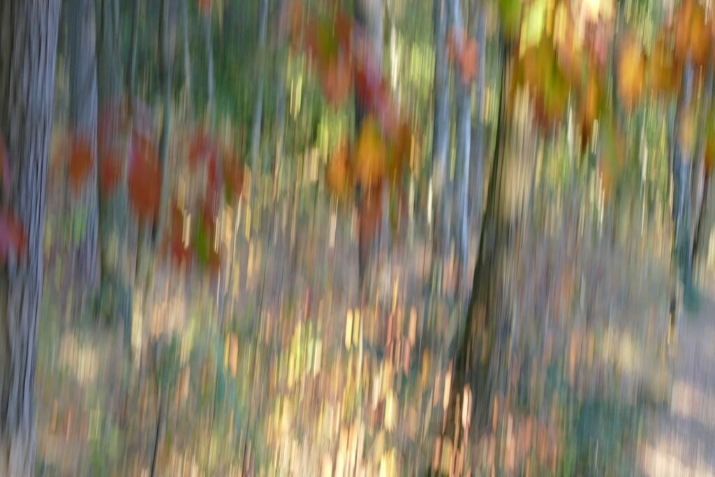 P4060257_a | Annaeherungen - Realisiert mit Pictrs.com
