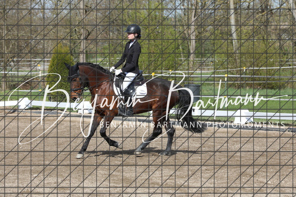 AZ2A2955 | Benjamin Bartmann Photomoments