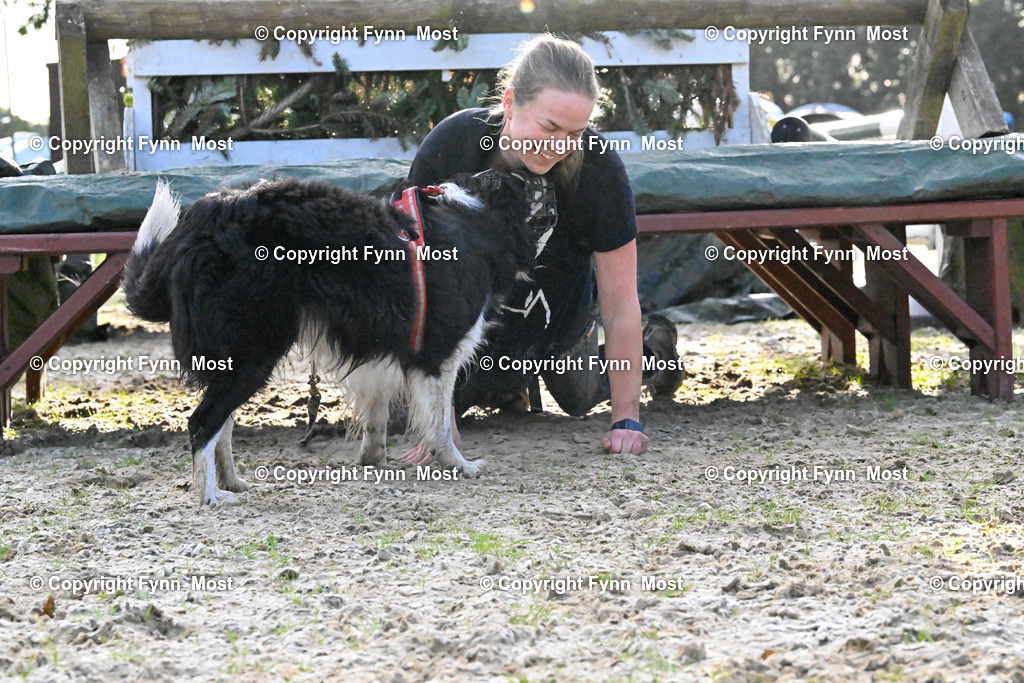 DSC_3329 | Hallo und herzlich Willkommen auf meiner Shop-Seite Fynn Most.

Ich wünsche Dir viel Spaß beim stöbern durch die Bilder, wenn Du Fragen hast oder Bilder vermisst, kannst du mir gerne eine Nachricht schreiben. - Realisiert mit Pictrs.com