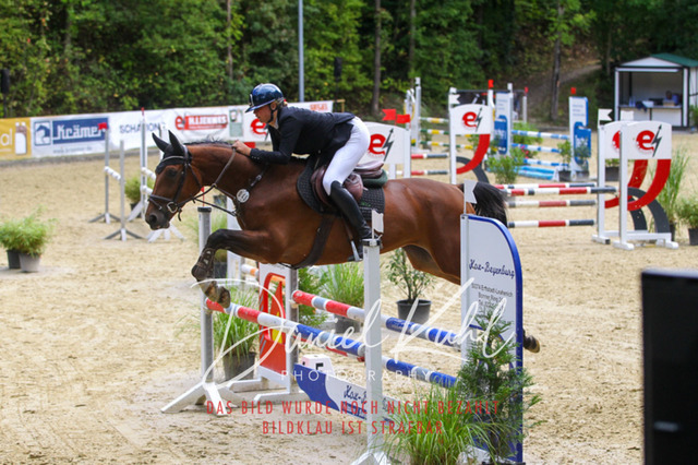 DKP40539 | Turniersportfotografie; Pferdefotografie; Dressurfotografie