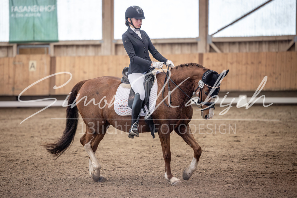 20251011-_3LI0558 | Tierfotografie Pferde, Hunde, Katzen, Haustiere.
Turnierfotografie Reitturniere, Reiten, Springreiten, Dressur in Hanau, dem Main-Kinzig-Kreis und dem Rhein-Main- Gebiet um Frankfurt