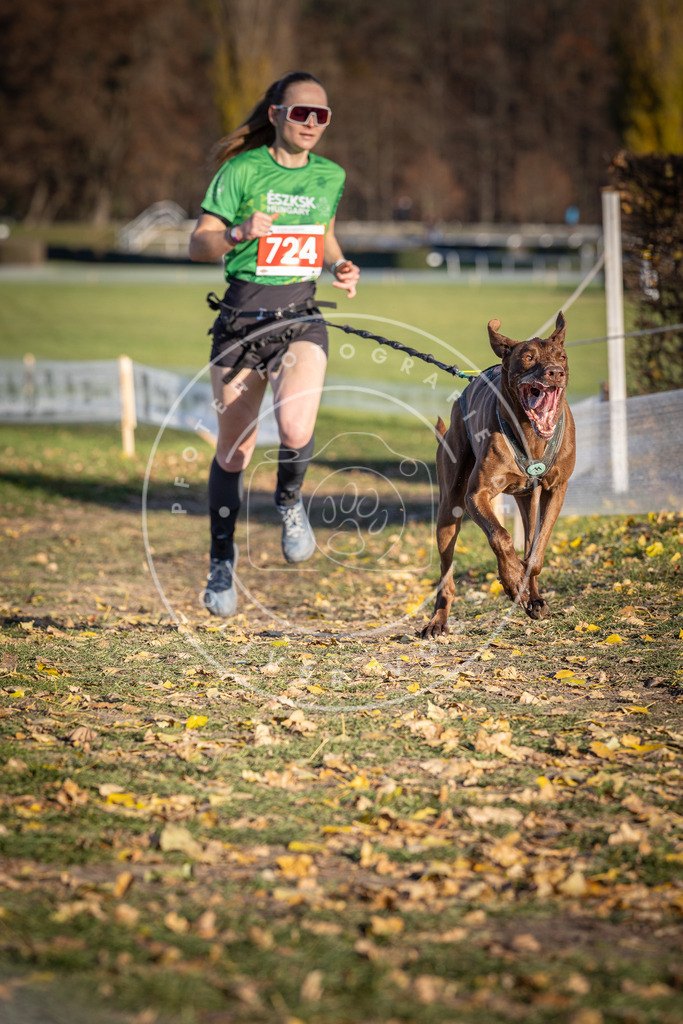 CaniXpix_DV3A1925 | Hundefotografie, Tierfotograf, Pfotenfotografie, Fotoshooting Hund, Hunde Portrait, Hundesport, Hundeportraits, Heideshooting, Hunde, Sportfotograf, Hundefotograf, Turnierhundsport, THS,  - Realisiert mit Pictrs.com